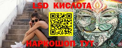 сатива Гатчина