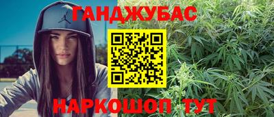 сатива Гатчина