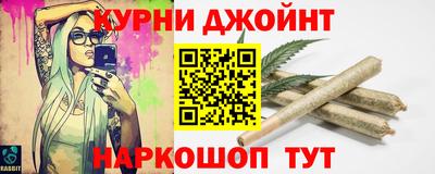 сатива Гатчина