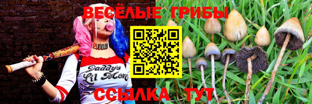 Ирбит  Галлюциногенные грибы Psilocybe  Вход с VPN 